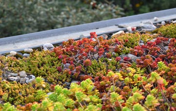 the cost of Gowdall green roof installation