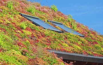 Gowdall living roof systems